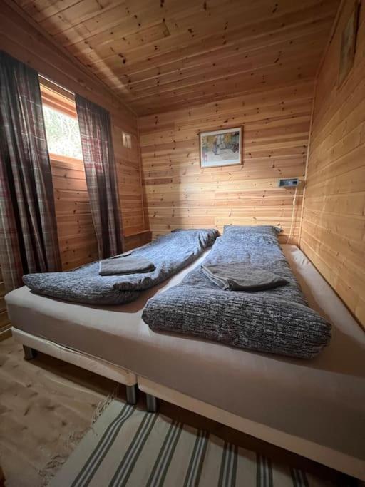 Cozy And Spacious Cabin Svensby Exteriör bild